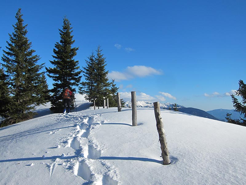 schwarzkogel